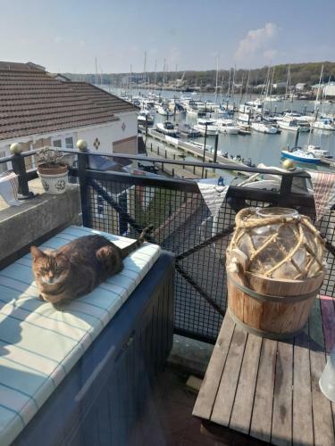 Marina Flat With Fab View, South Facing Balcony, Private Parking And Wifi