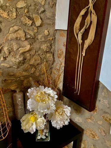 Casa Tatisita Invernalia