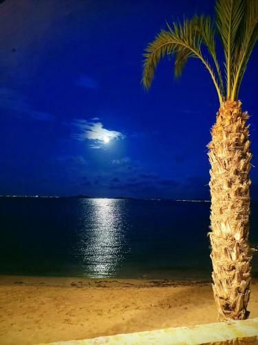 Salom� Beach Apartments