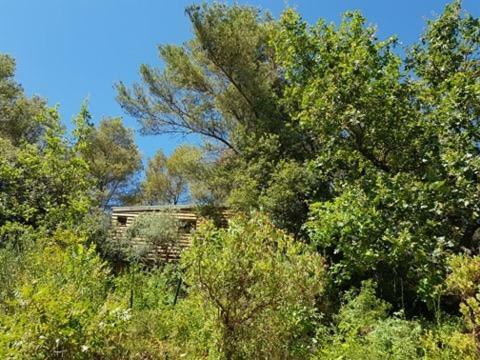 Hostal Cabane Dans Les Arbres "la Kaz Aux Cigales"