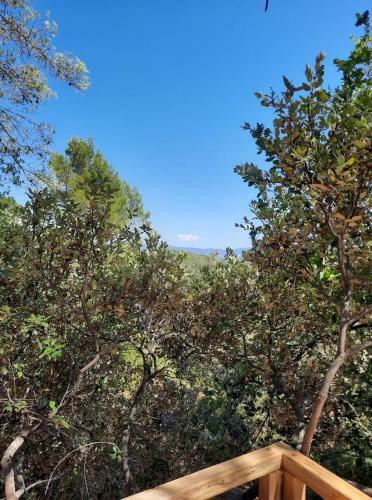 Hostal Cabane Dans Les Arbres "la Kaz Aux Cigales"