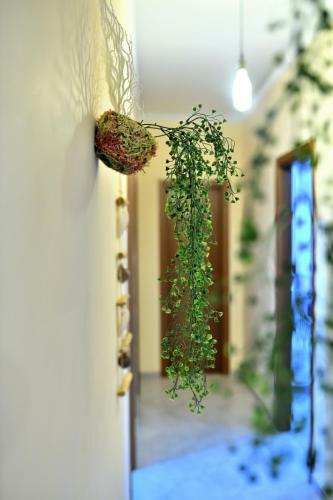 Apartamento Casa Vacanza Stella Marina - Intero Appartamento 12 Posti