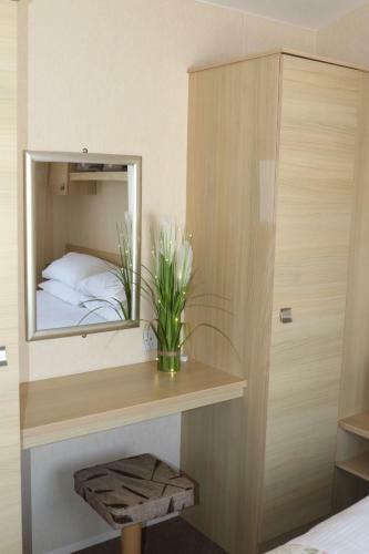Palm 2 Park Home With Hot Tub