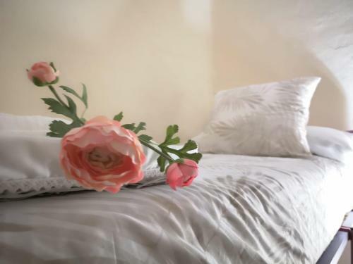 Hostal Santa Isabel Low Cost Apartment Rooms