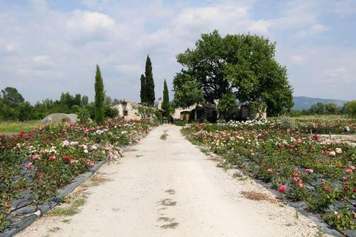Hostal Roseraie De Chateaubois