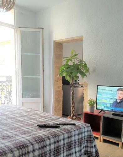 Apartamento Le Balcon De Saint Roch