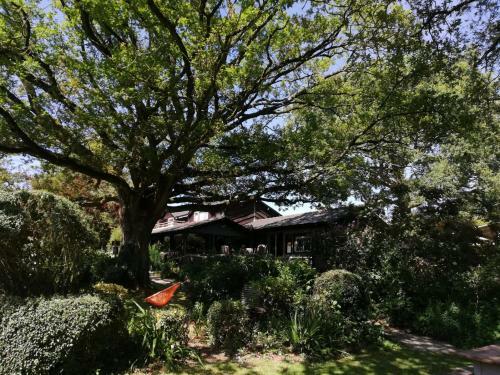 Bed & Breakfast Chambres D'hotes Swingolf De Rouge