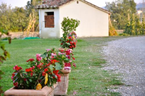 Agroturismo Cantina Morami