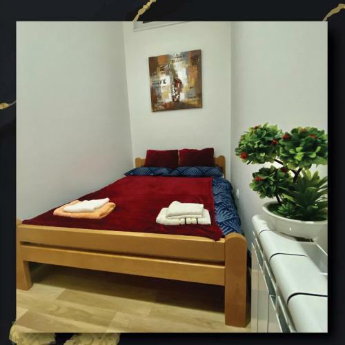 Sky Apartman