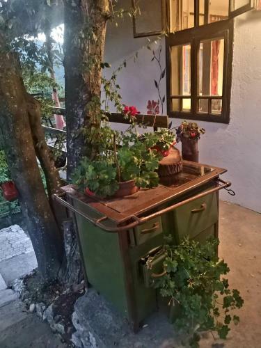 Apartamento Vila Eva