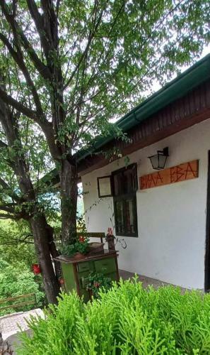 Apartamento Vila Eva