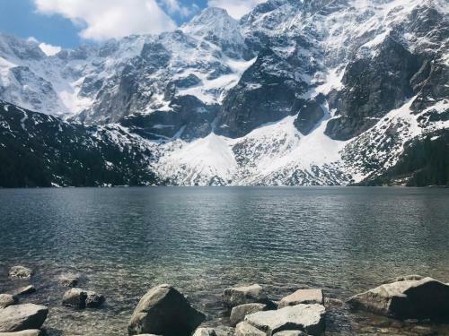 Willa U Wojtusia