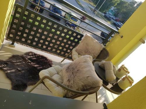 Apartament 21
