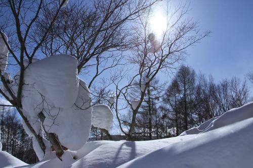 Posada Niseko Freedom Inn