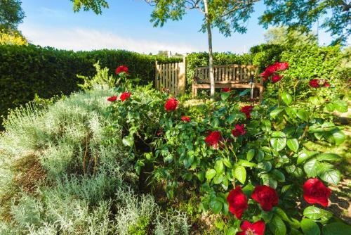 Agroturismo Podere La Montalla