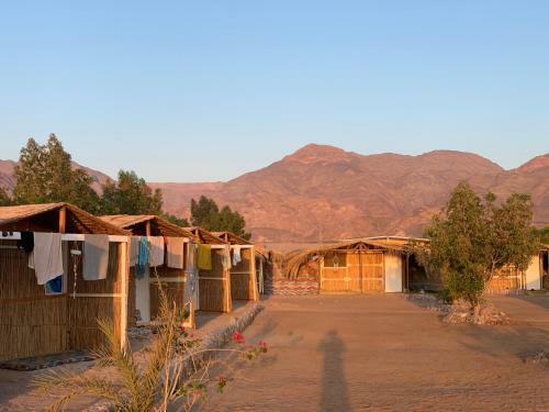 Alwaha Camp