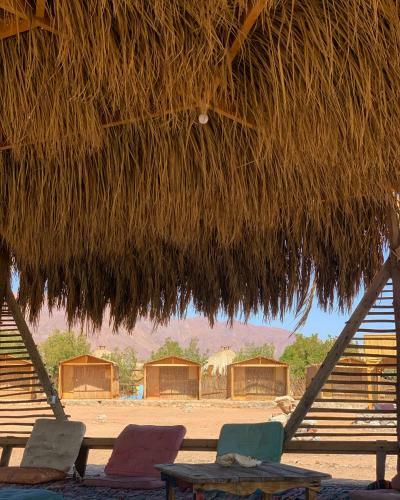 Alwaha Camp