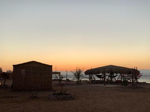 Alwaha Camp