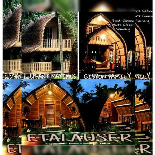 Hotel Etalauser Jungle Gate Ecoresort Bukit Lawang
