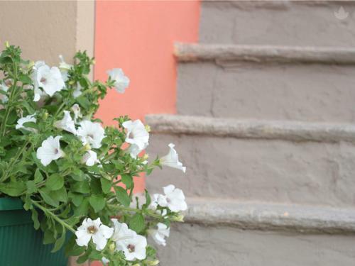 Hostal Top Residence Arioli