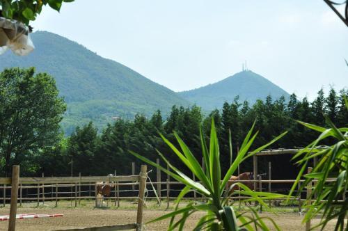 Bed & Breakfast Aiceltis