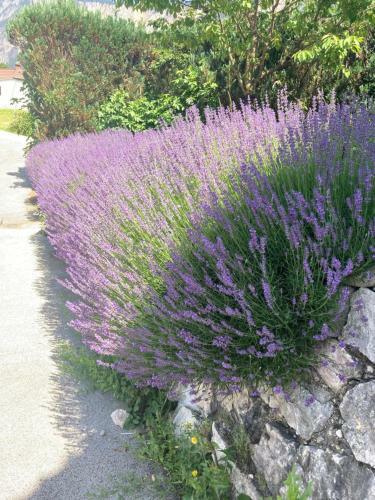 Auszeit Natur