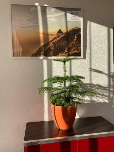 Auszeit Natur