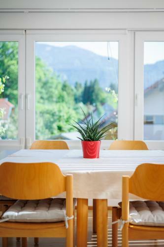 Auszeit Natur