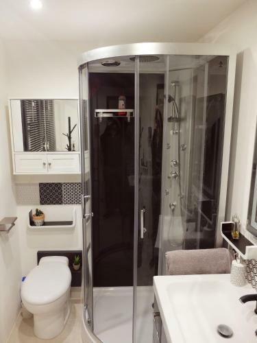 Apartamento Studio Confort Jungle