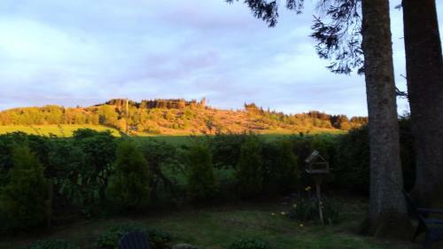 Heron Lodge, Edge Of Mabie Forest Dumfries