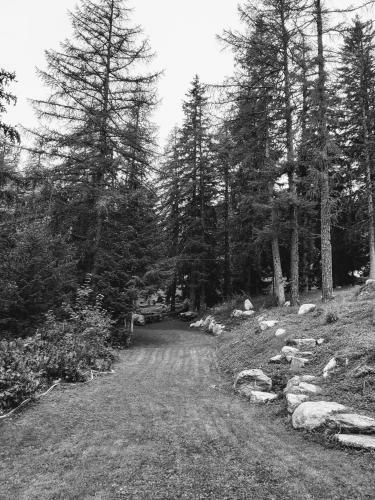Chalet Val Ferret Courmayeur Mont Blanc Exclusive