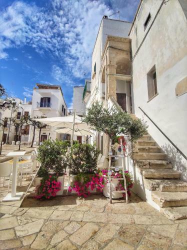 Domvito Lifestyle Holiday - Santo Cosma