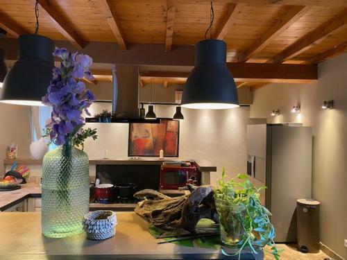 El�gante Maison de Village : Terrasse, Jacuzzi Et Garage
