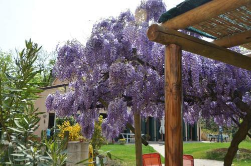 Agriturismo Terre Bianche