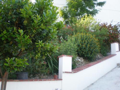 Apartamentos Rurales El Ca�uelo De Carcabuey