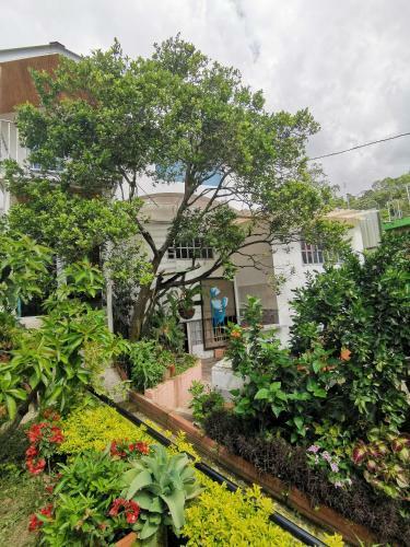 Agroturismo Casa Tramonti Natura