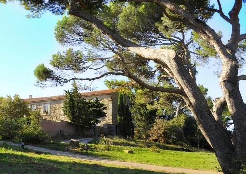 Hostal Ch�teau De Jonqui�res - Narbonne