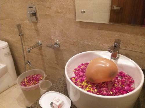 Hotel Ambika Residency Manali