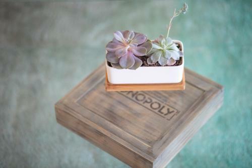 Apartamento Seashell Escape
