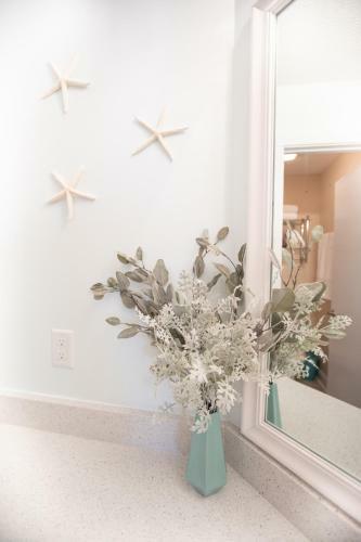 Apartamento Seashell Escape