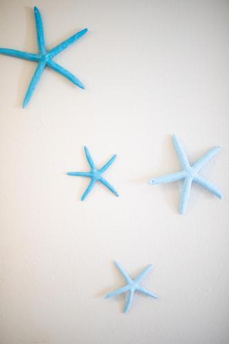 Apartamento Seashell Escape