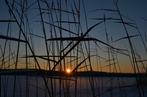Hotel Loikansaari Lomam�kit Holiday Cottages