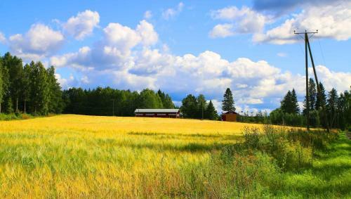 Hotel Loikansaari Lomam�kit Holiday Cottages
