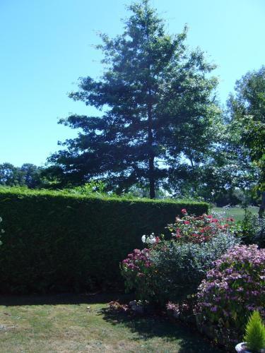 Bed & Breakfast Ferme De Dauval