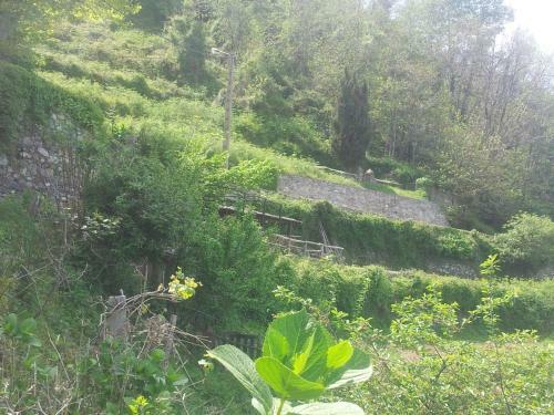 G�te La Fontaine Corse