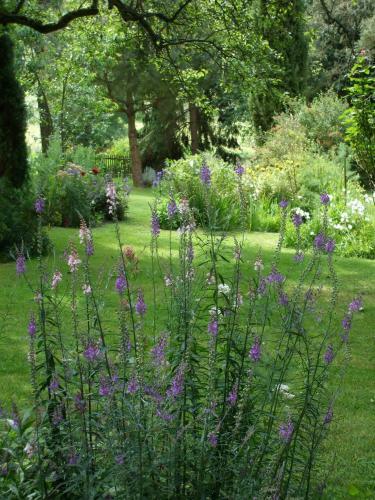 Hostal Jardin La Bourdonni�re