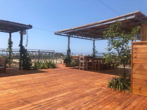 Rooftop Camping, In Front The Mediterranean Sea, Facing The Carmel Mounts