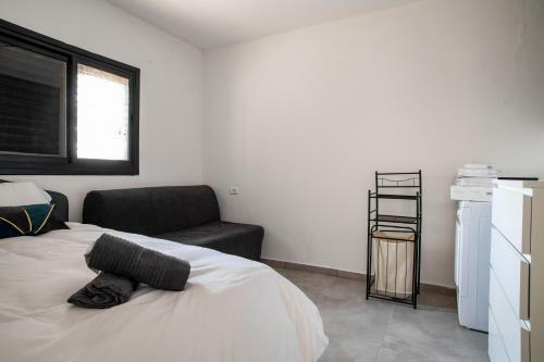 Luxury Apartment