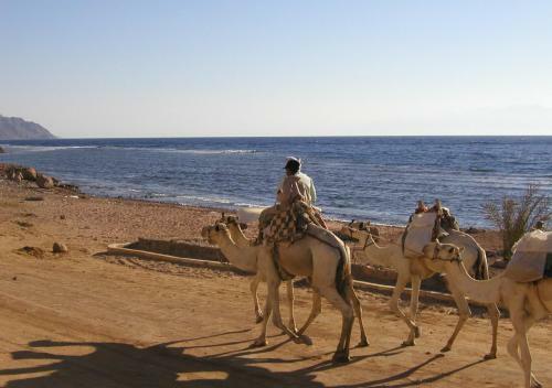 Melony Apartments Yam Suf Street