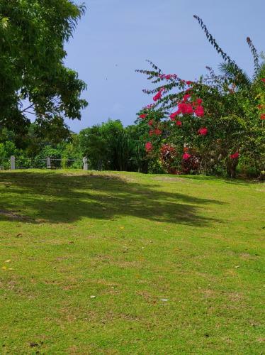 Apartamento Destiny Palms Apt Beach Five Minutes Drive Away